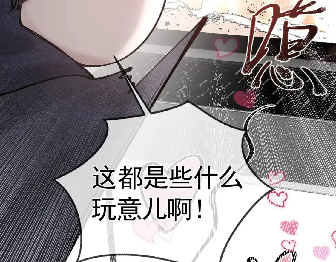 第33话 顾总电脑里的照片30