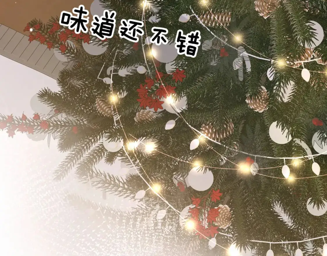 番外 圣诞节吃什么17