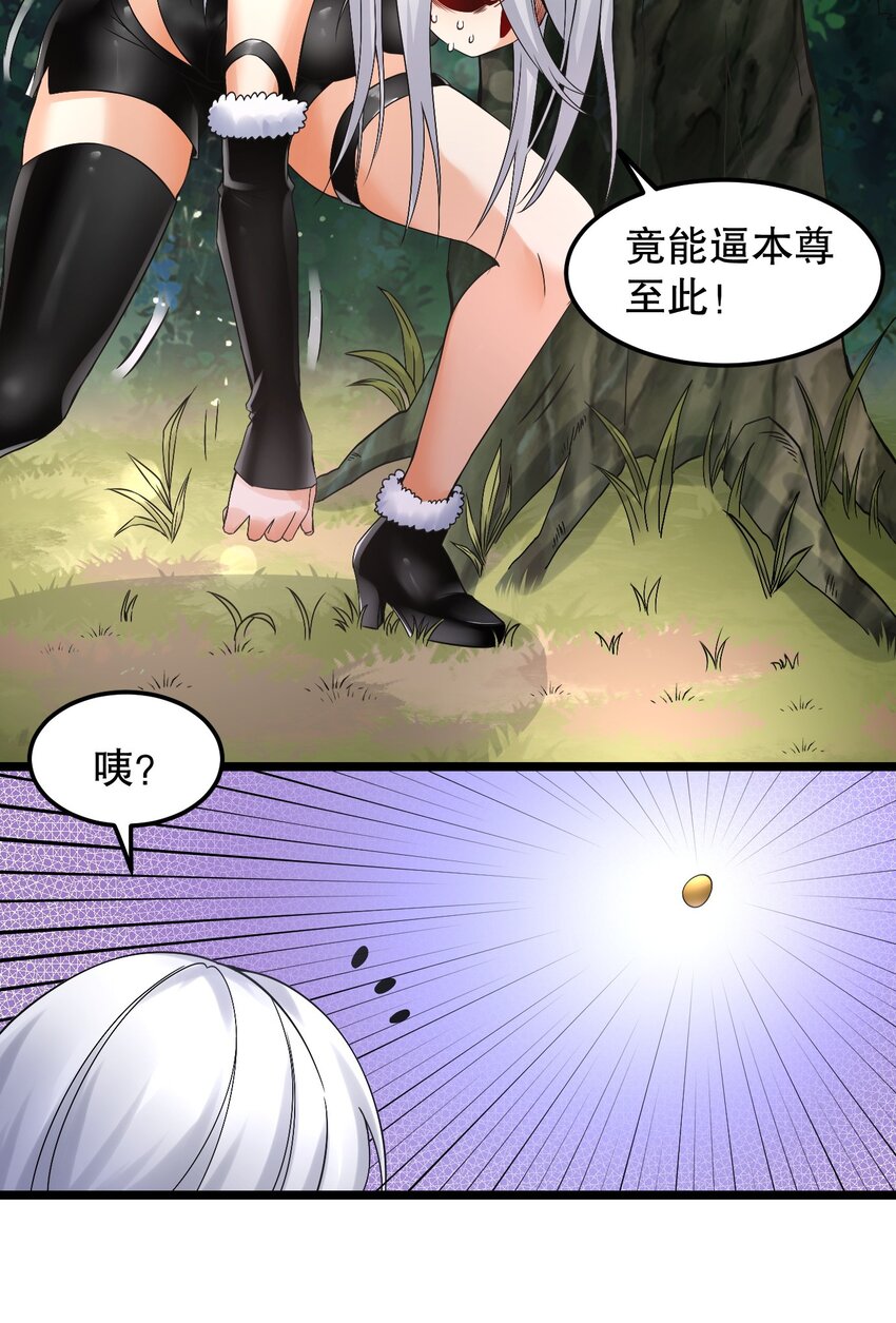 68 这白毛…不太聪明的亚子14