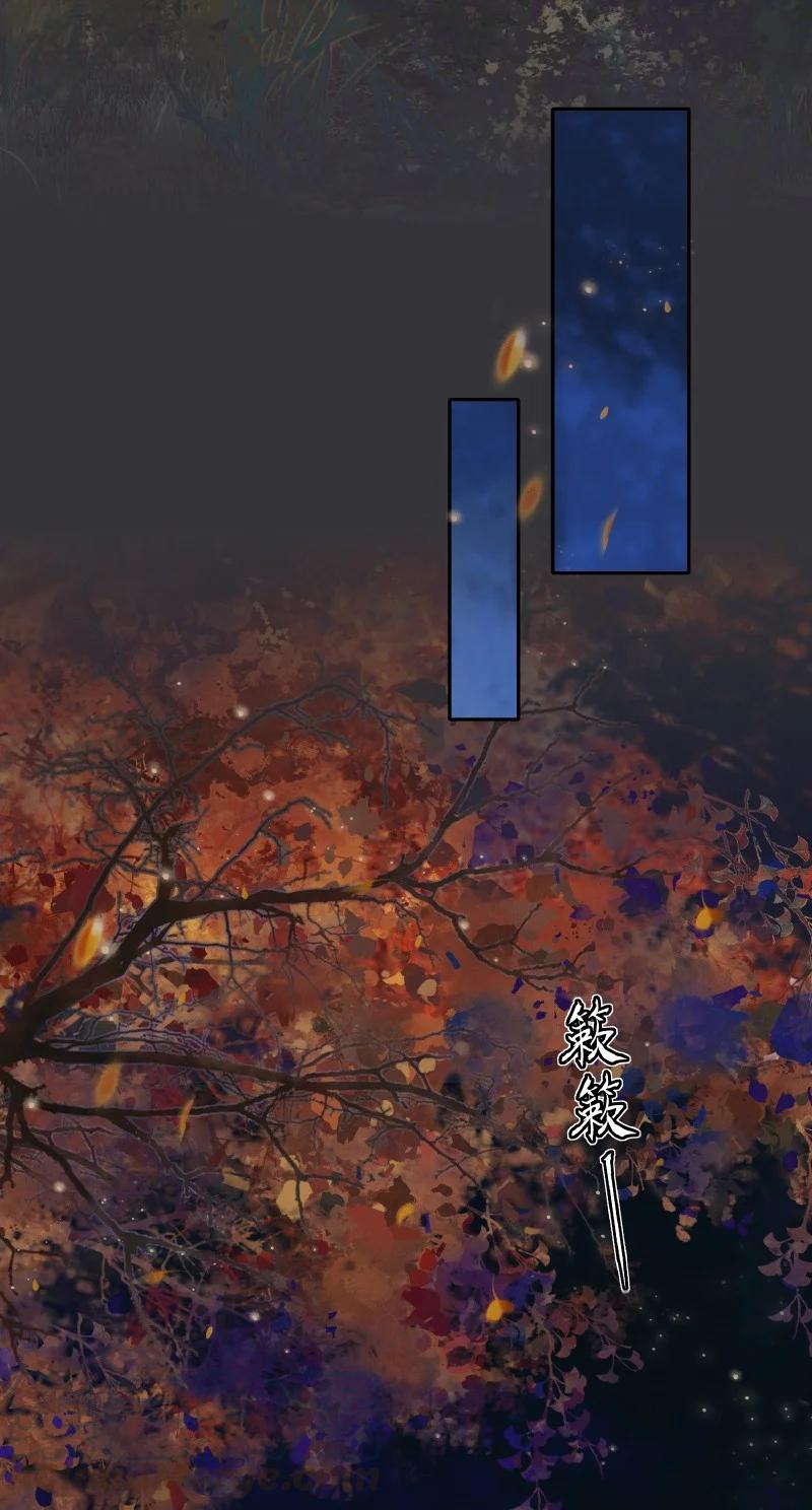 059 菩荠秋夜20