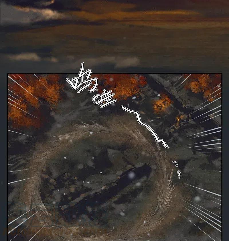 050 花开花谢36