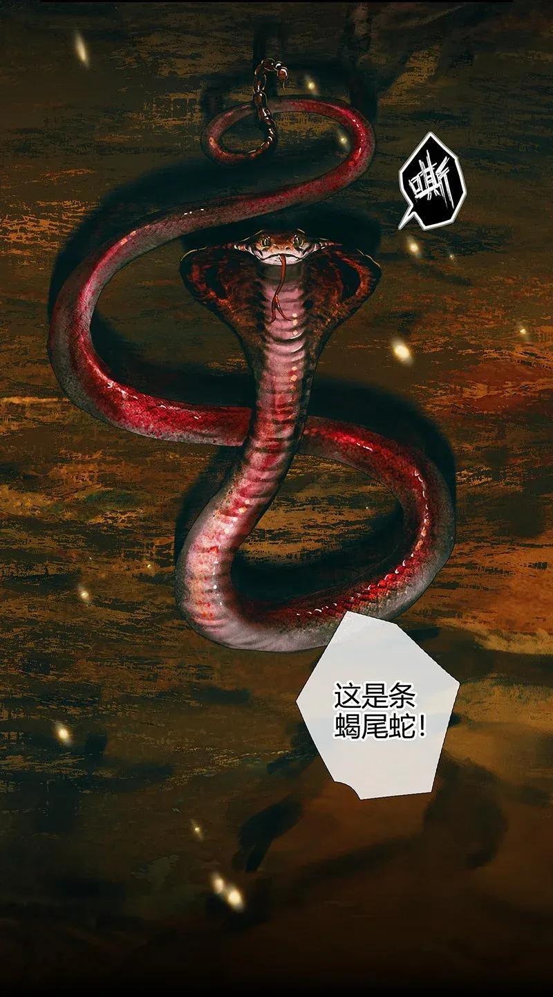 035 将军墓冢 贰13