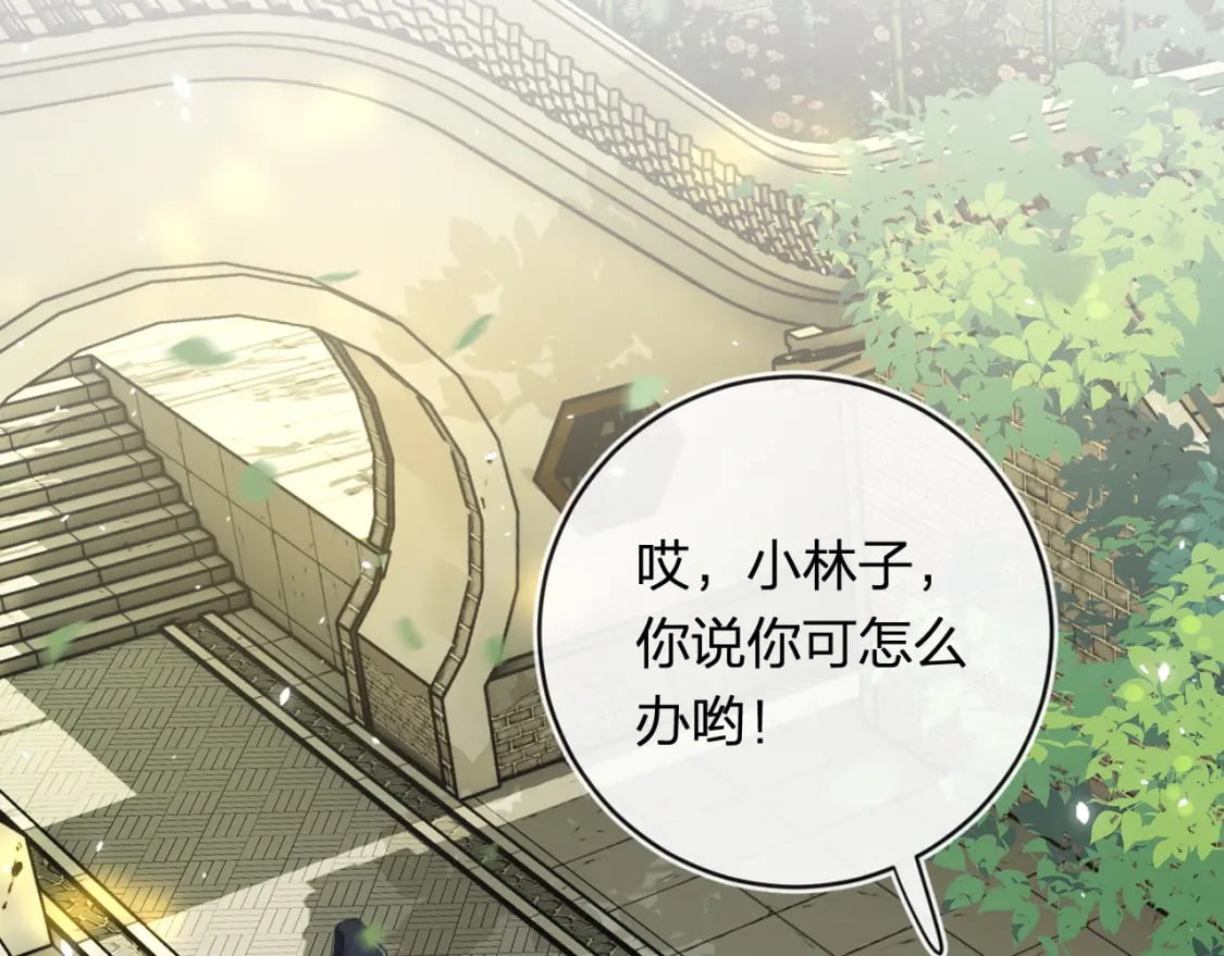 番外 林欢24