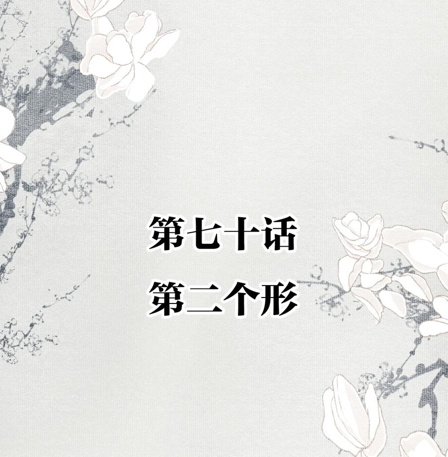 070 第二个形1