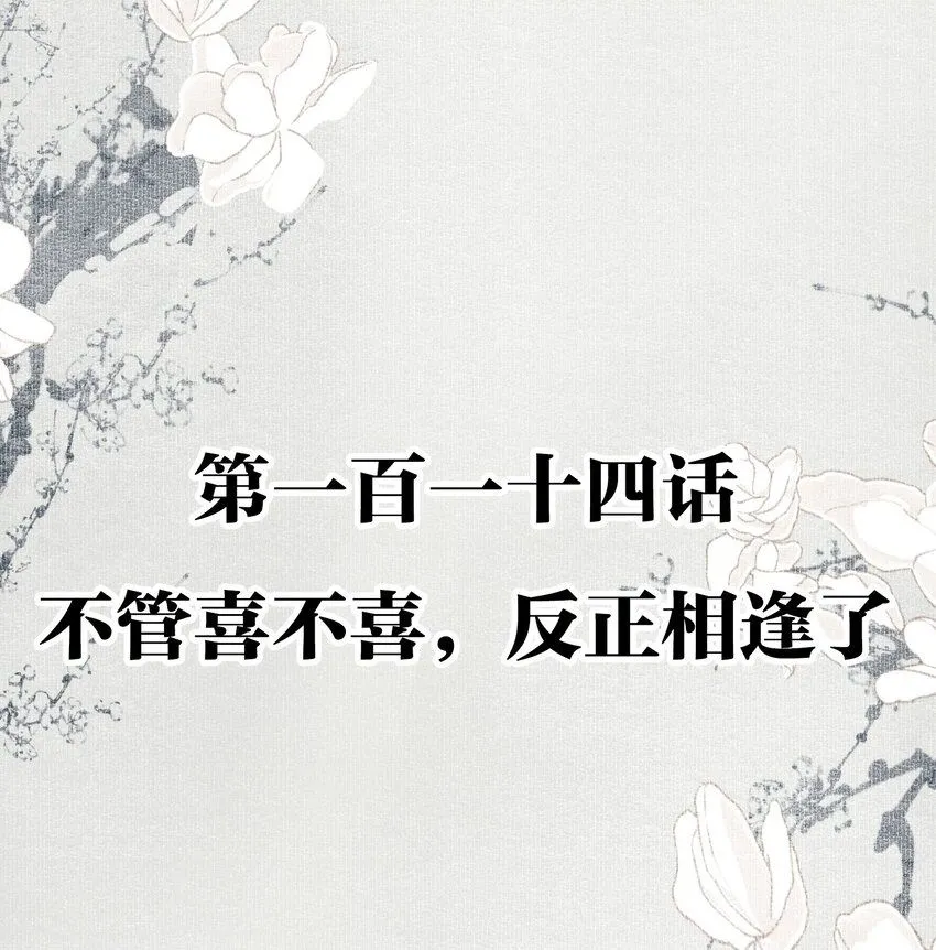 114 不管喜不喜，反正相逢了1