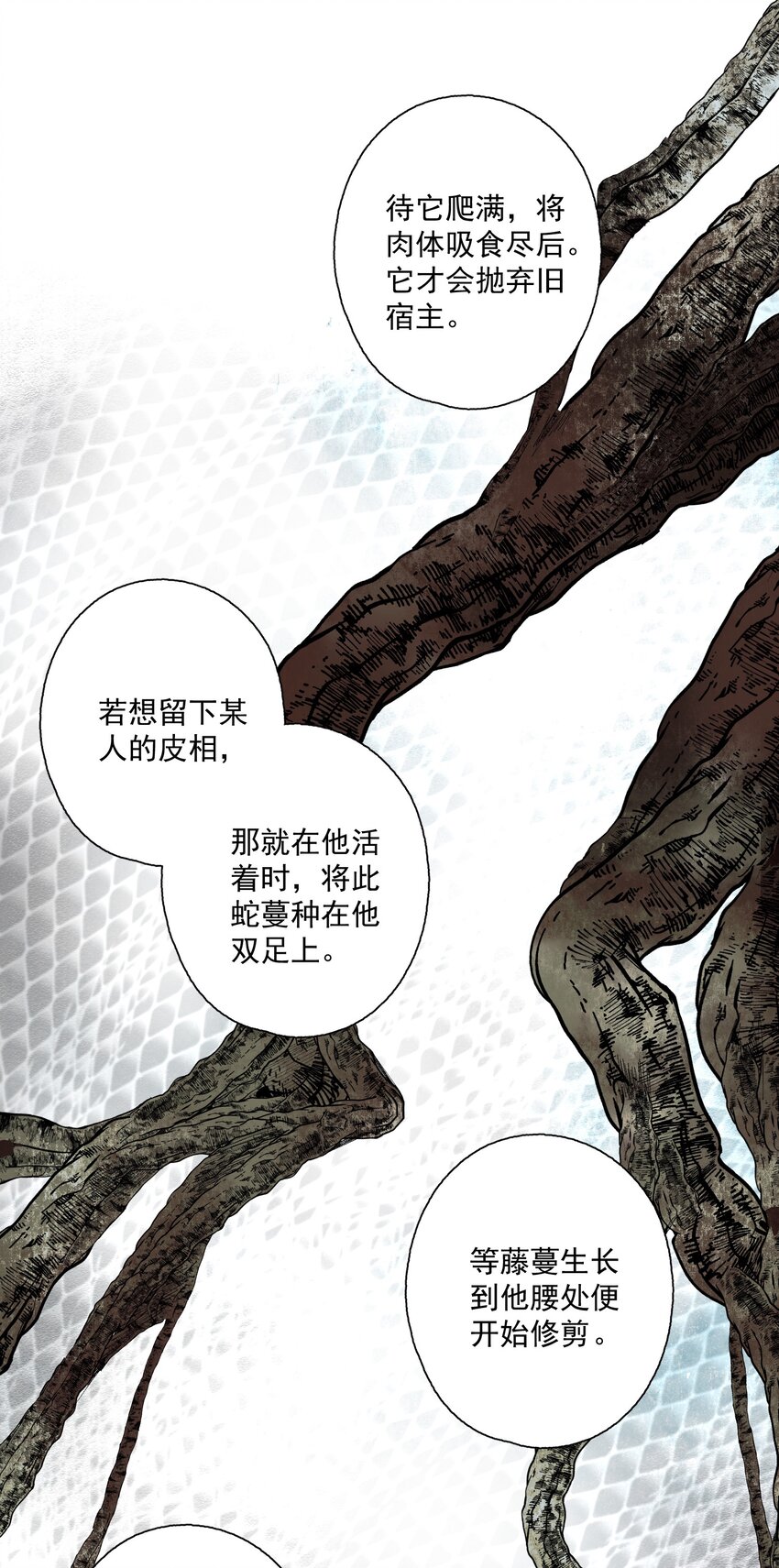 079 九角蛇26