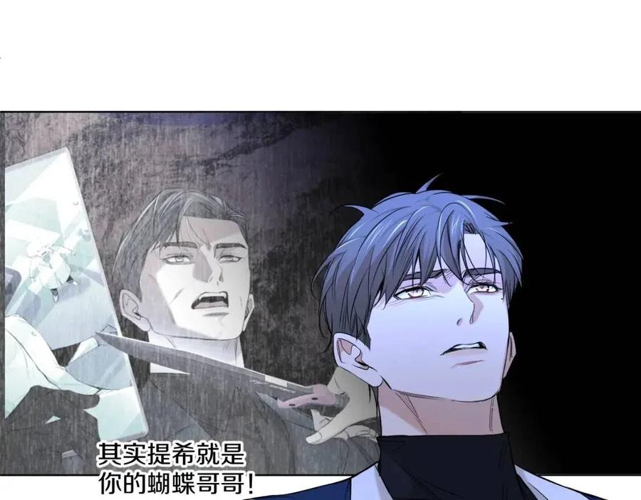 第一季完结篇夜蝴蝶的葬礼37