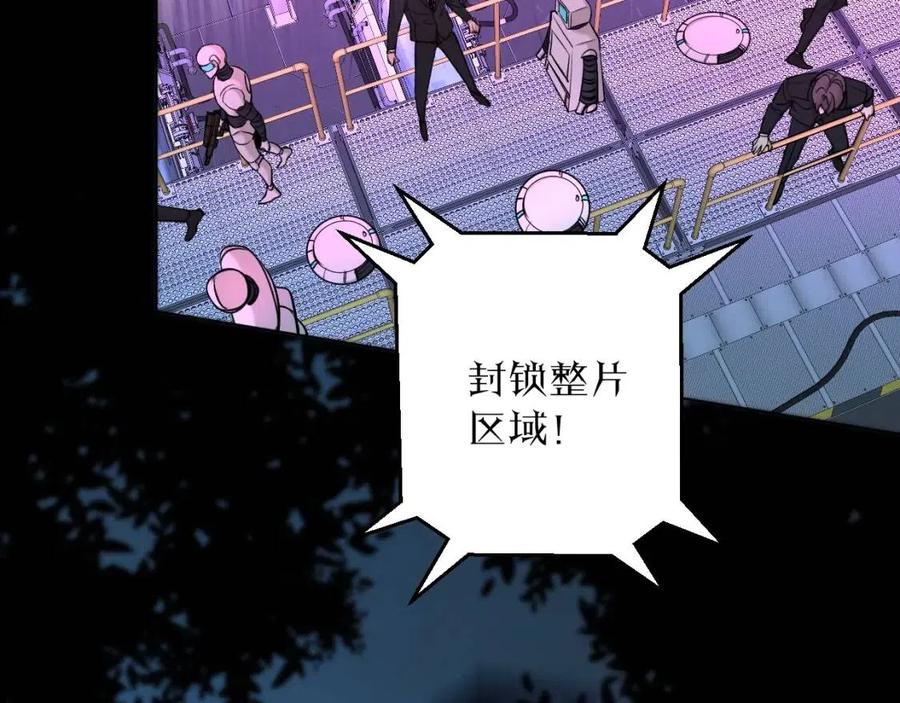 第一季完结篇夜蝴蝶的葬礼6