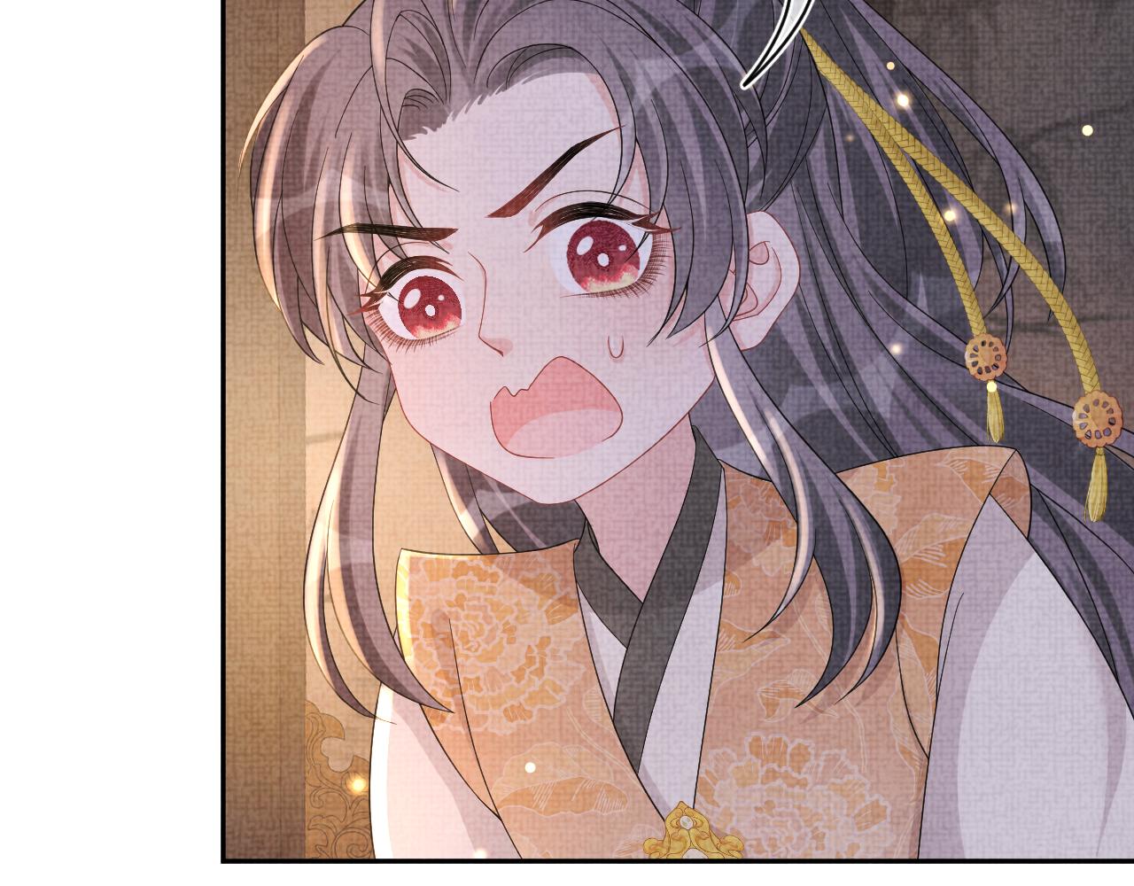 第62话 愁人的生辰礼物68
