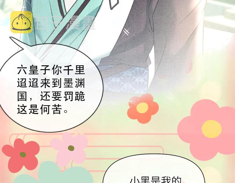 人设序章 超萌鲛人崽崽出现啦31