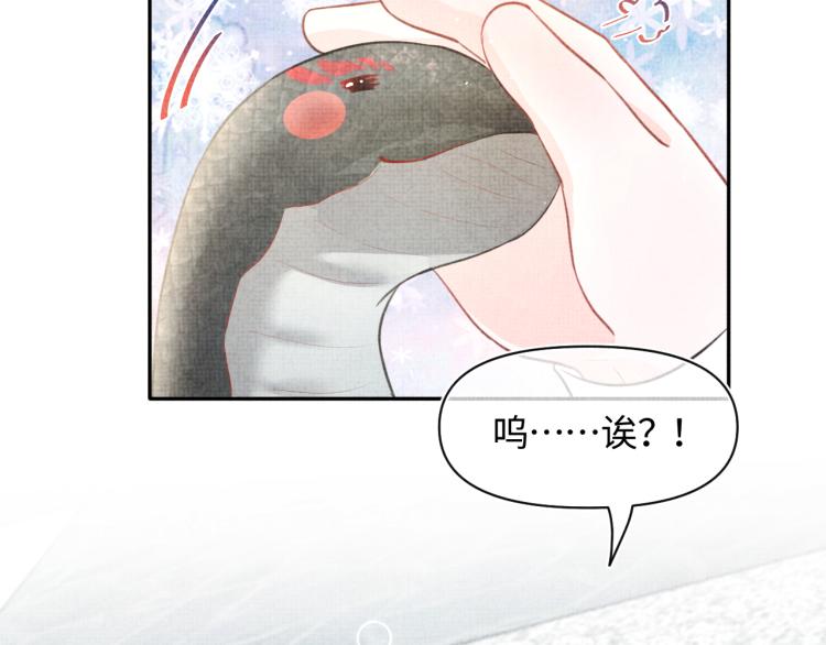 第4话 保护漂亮哥哥!73
