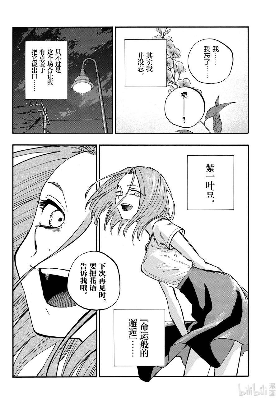 157 紫一叶豆11