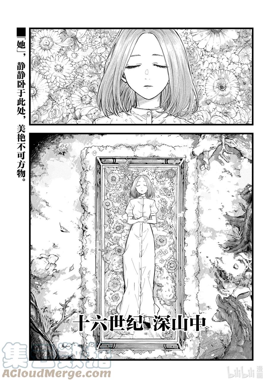 100 星见菊2