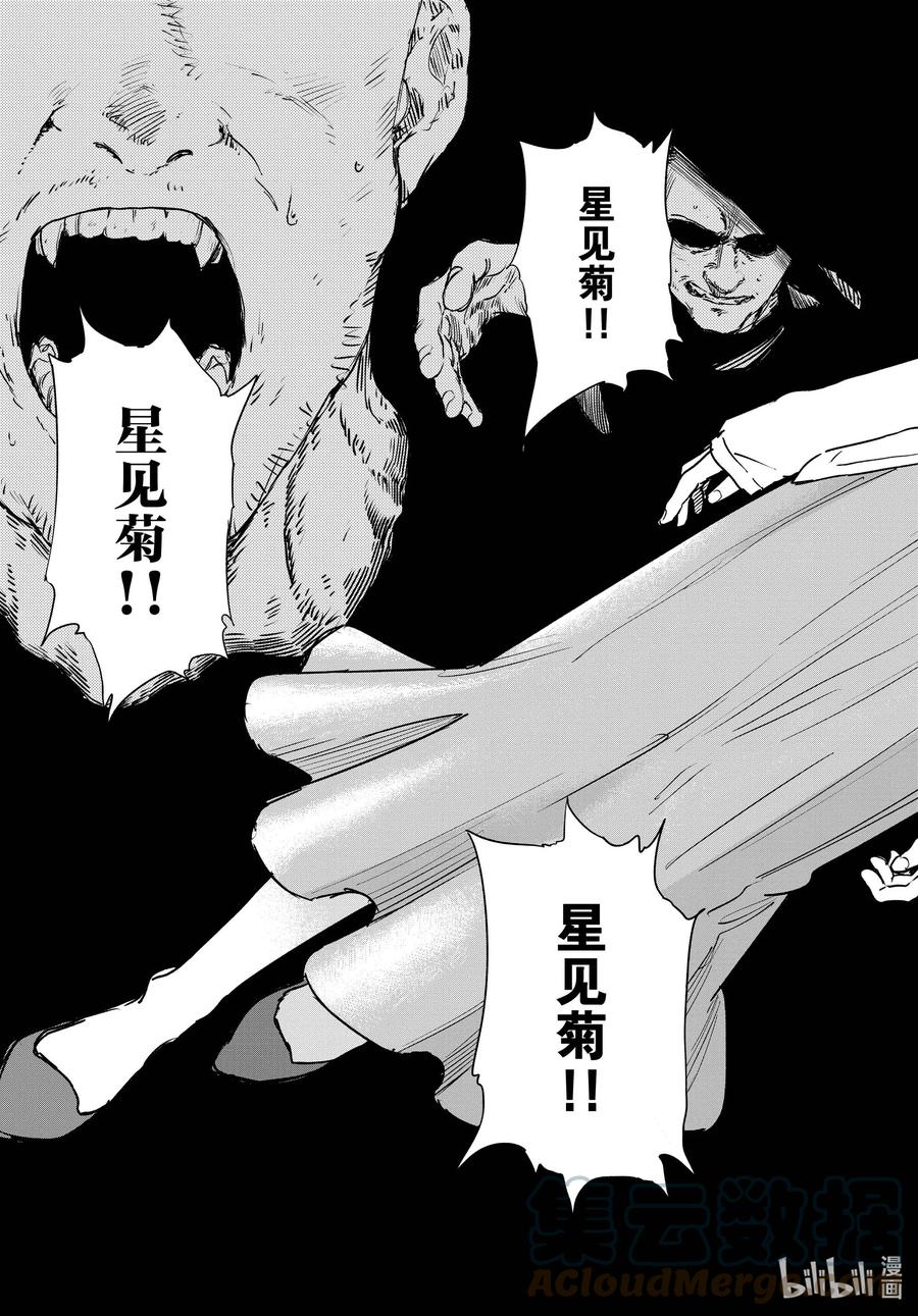 100 星见菊16