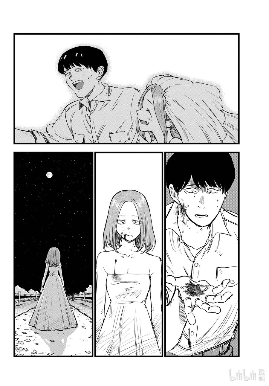 100 星见菊13