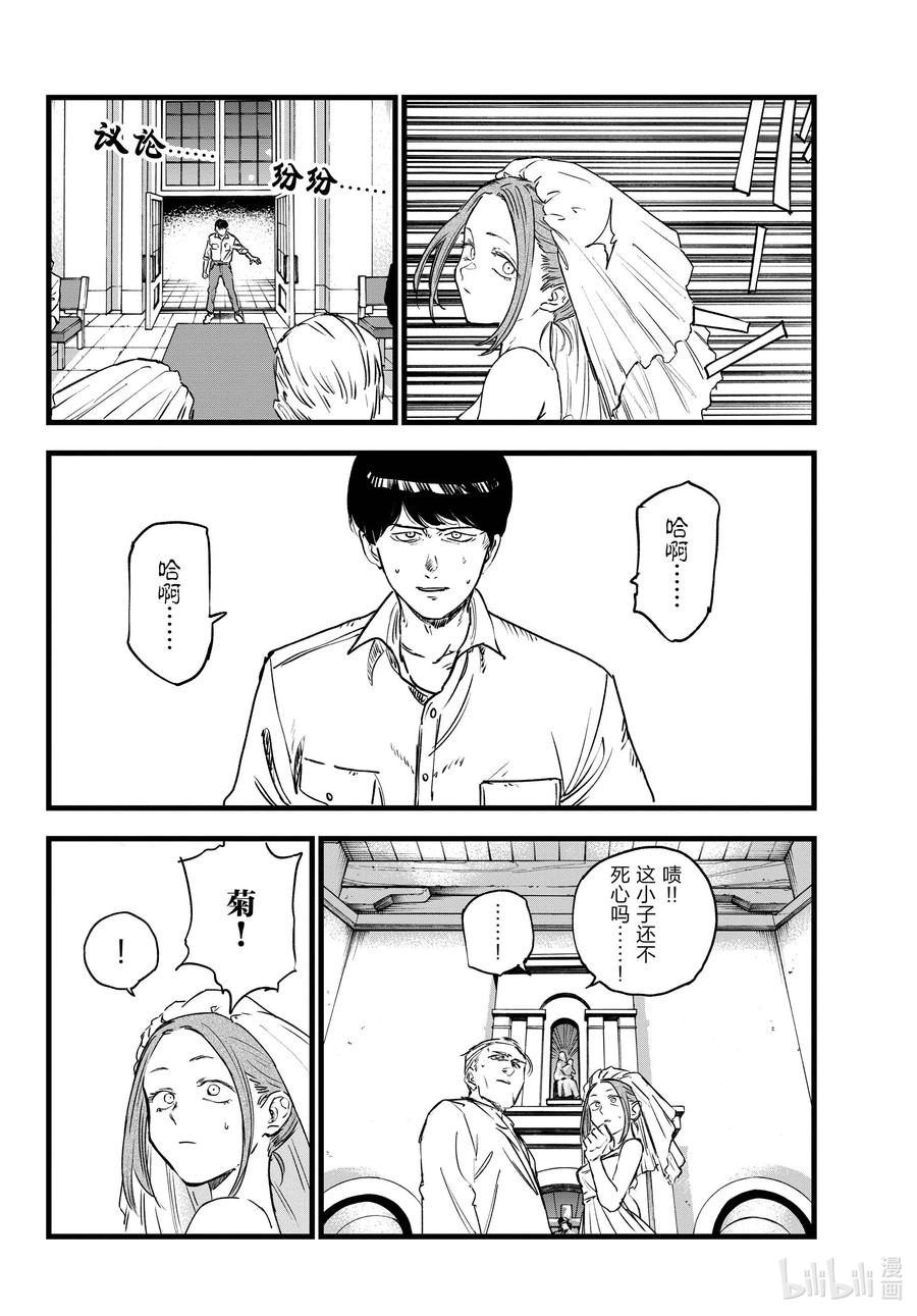 100 星见菊11