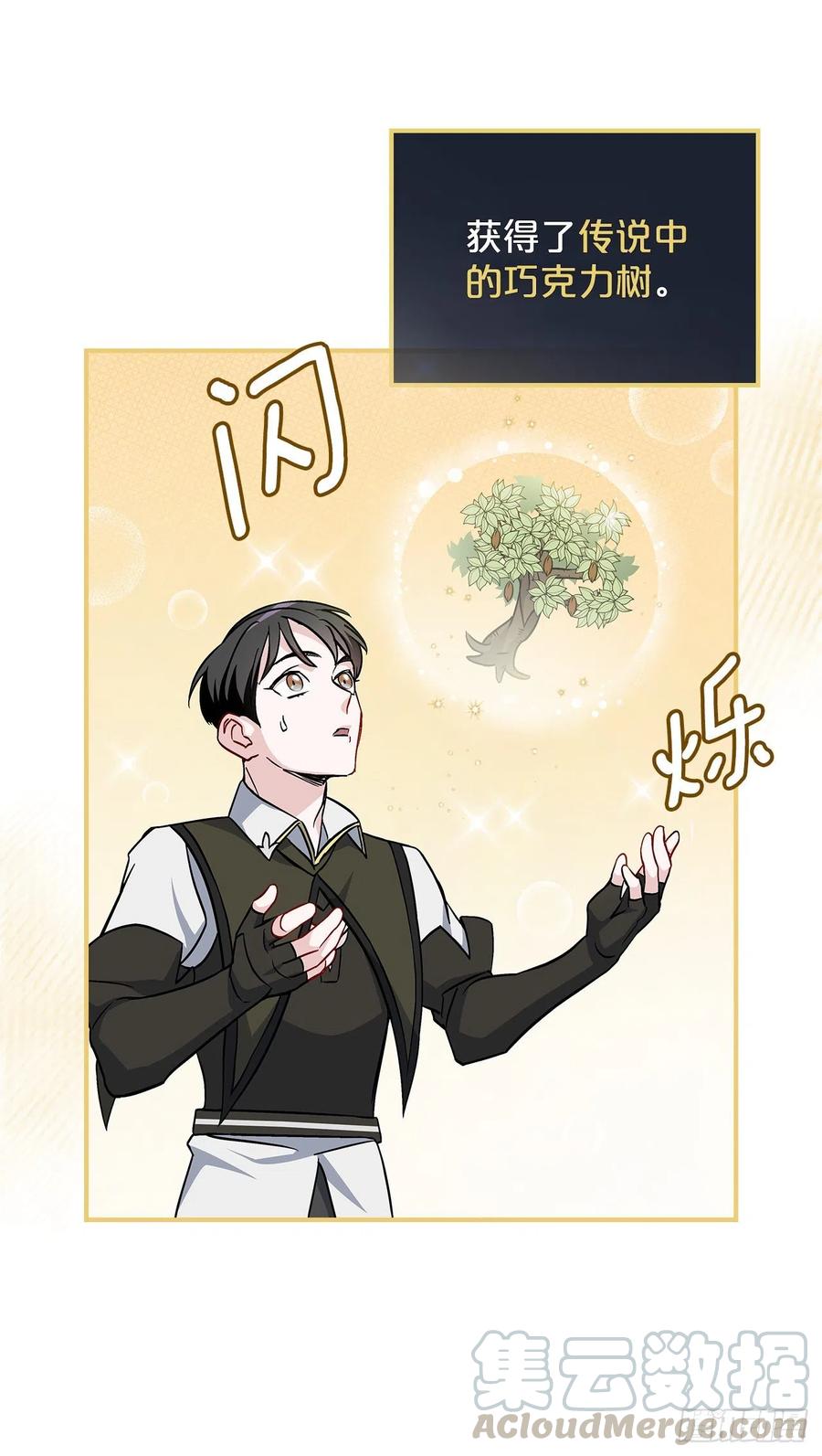40.巧克力树75