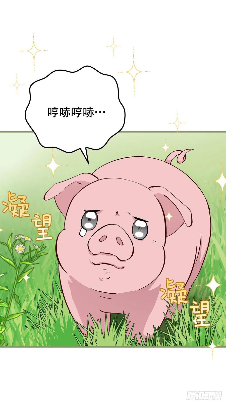 55.选择宠物46