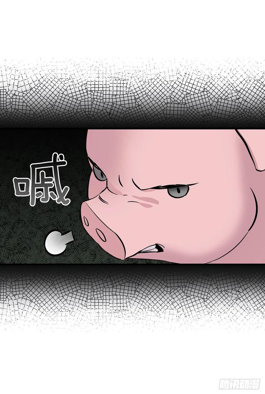 55.选择宠物50