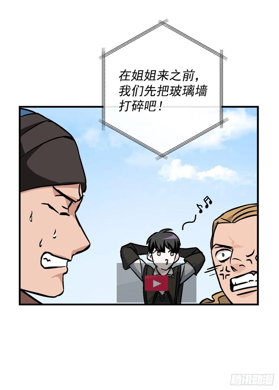 40.巧克力树44