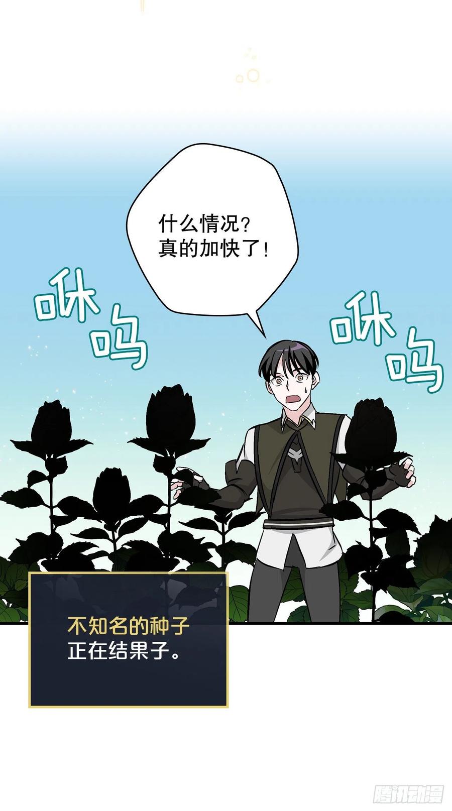 52.不知名的种子41