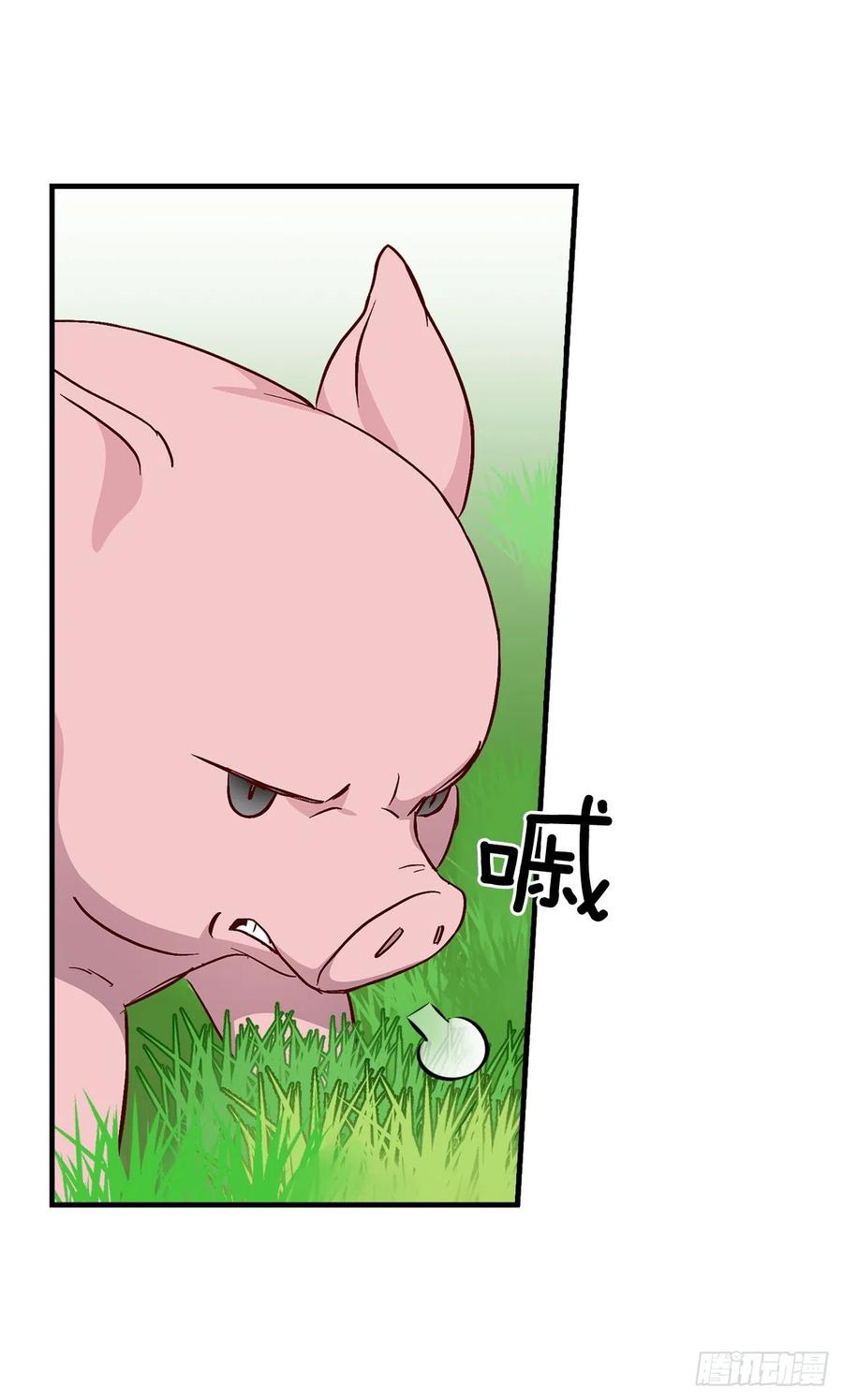 55.选择宠物61