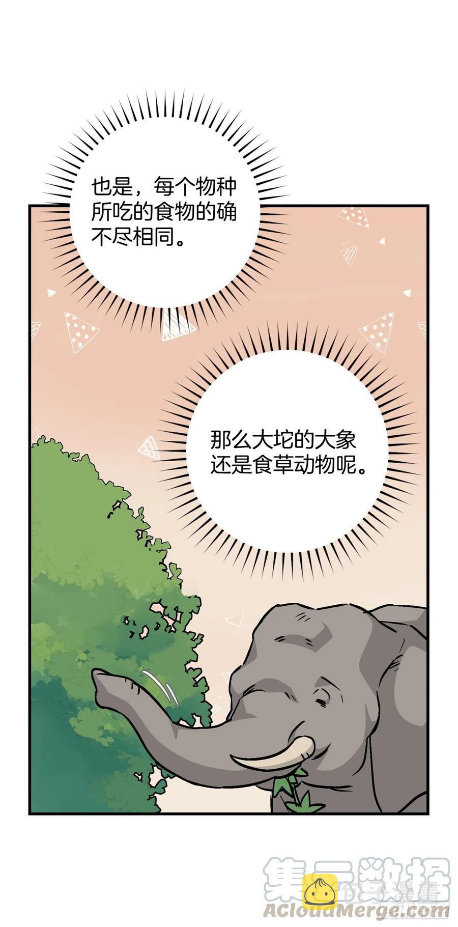 52.不知名的种子60