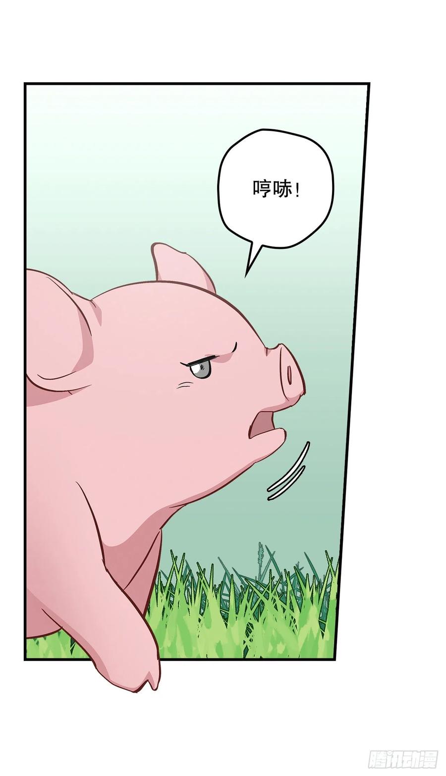 55.选择宠物53