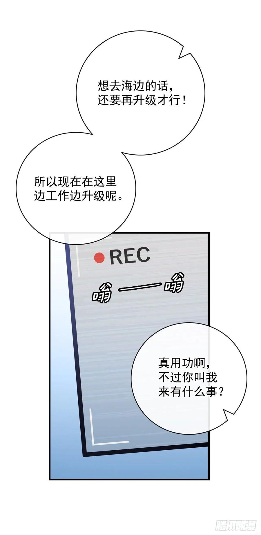 40.巧克力树38