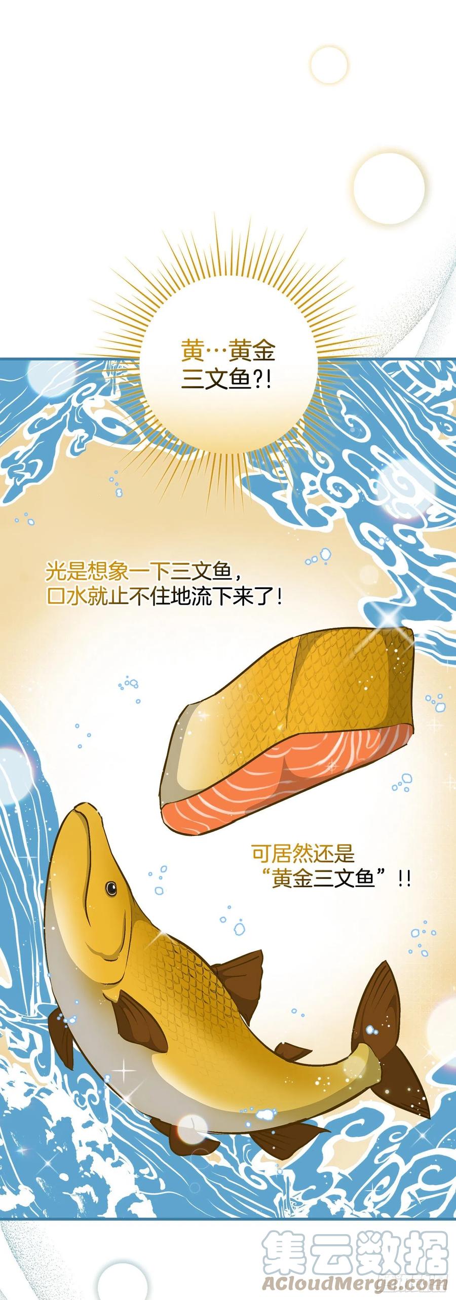 68.“黄金三文鱼”72