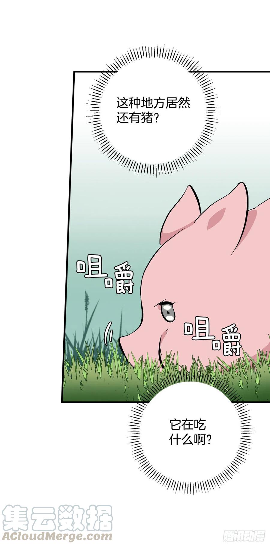 55.选择宠物42