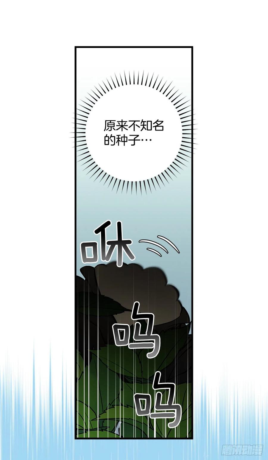 52.不知名的种子44