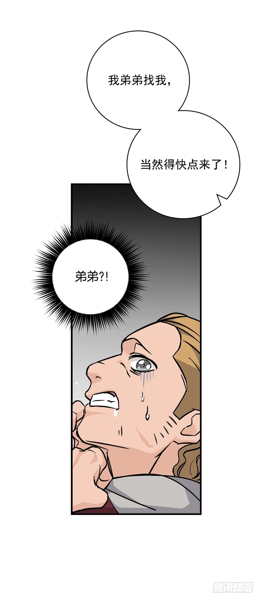 40.巧克力树34