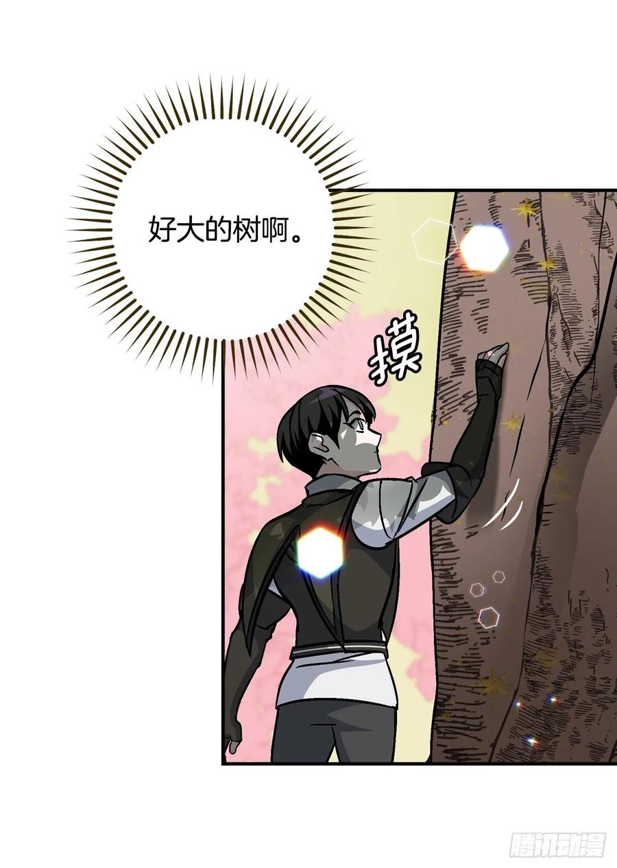 40.巧克力树70