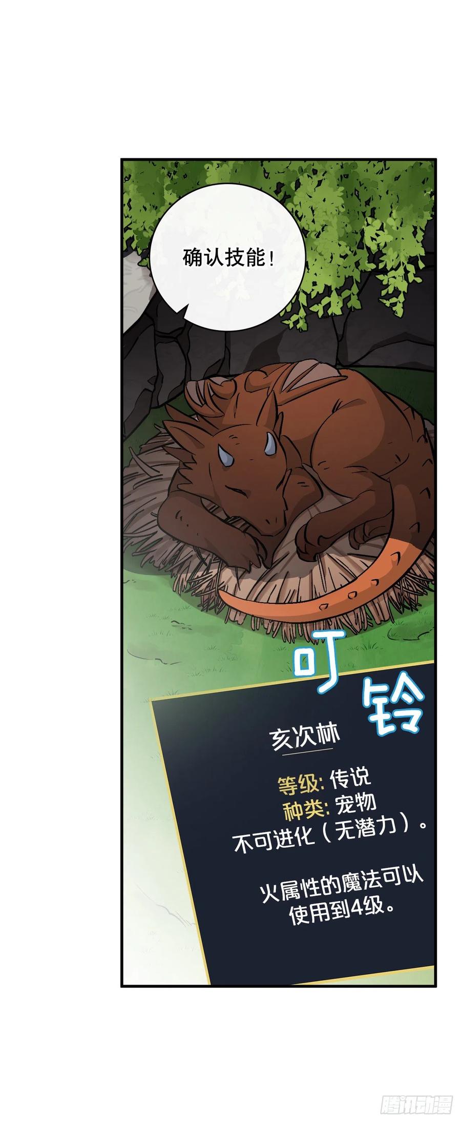55.选择宠物38