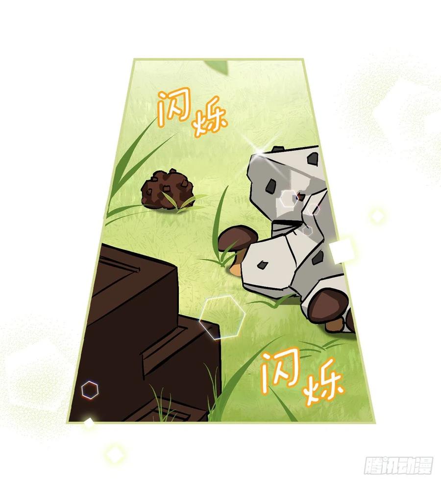 40.巧克力树65