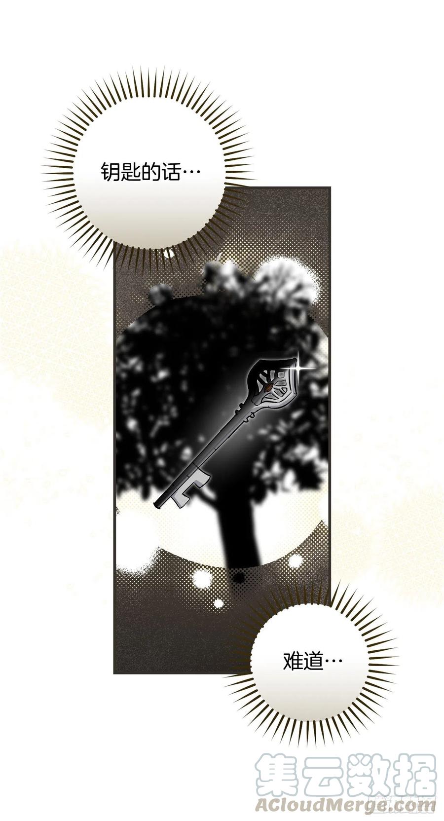 40.巧克力树54