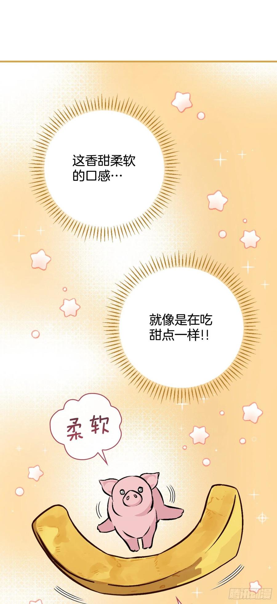 67.豆豆的装备46