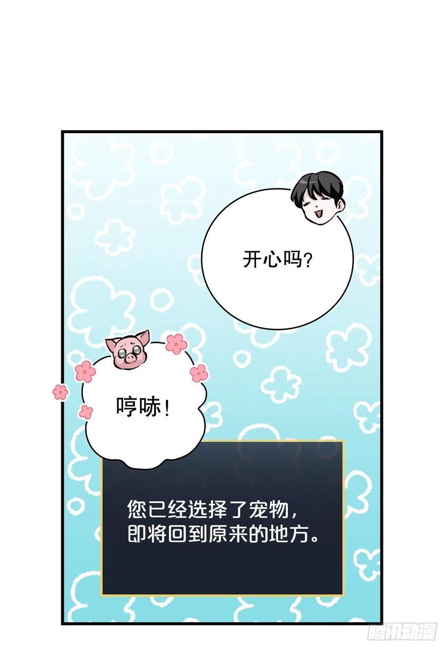 56.“豆豆”14