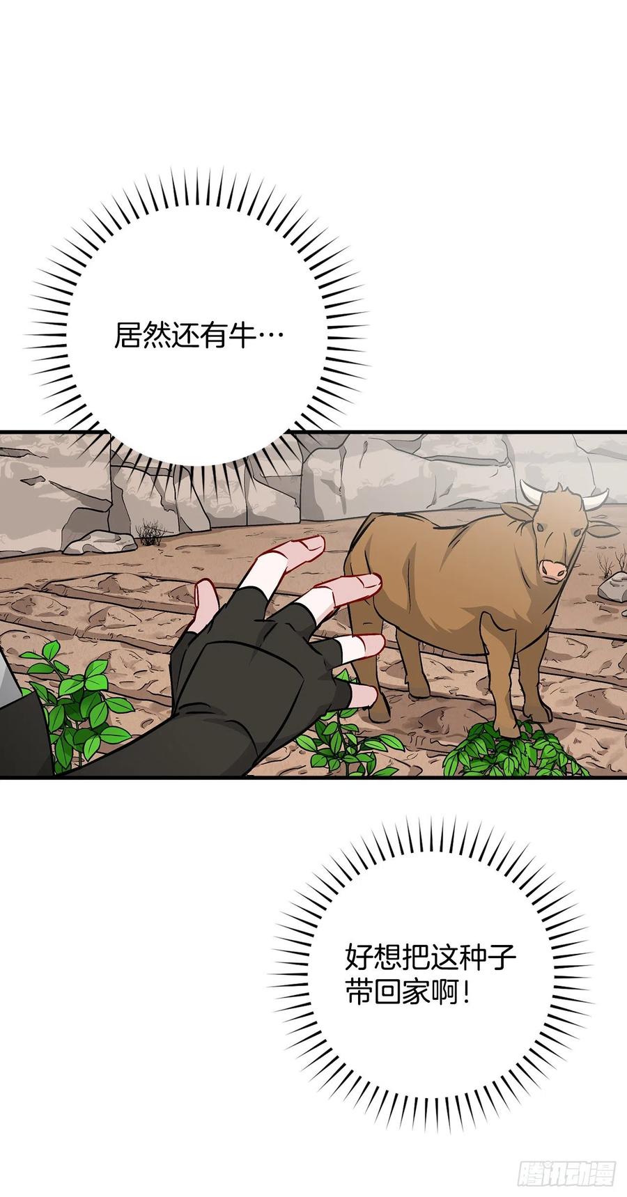 52.不知名的种子46
