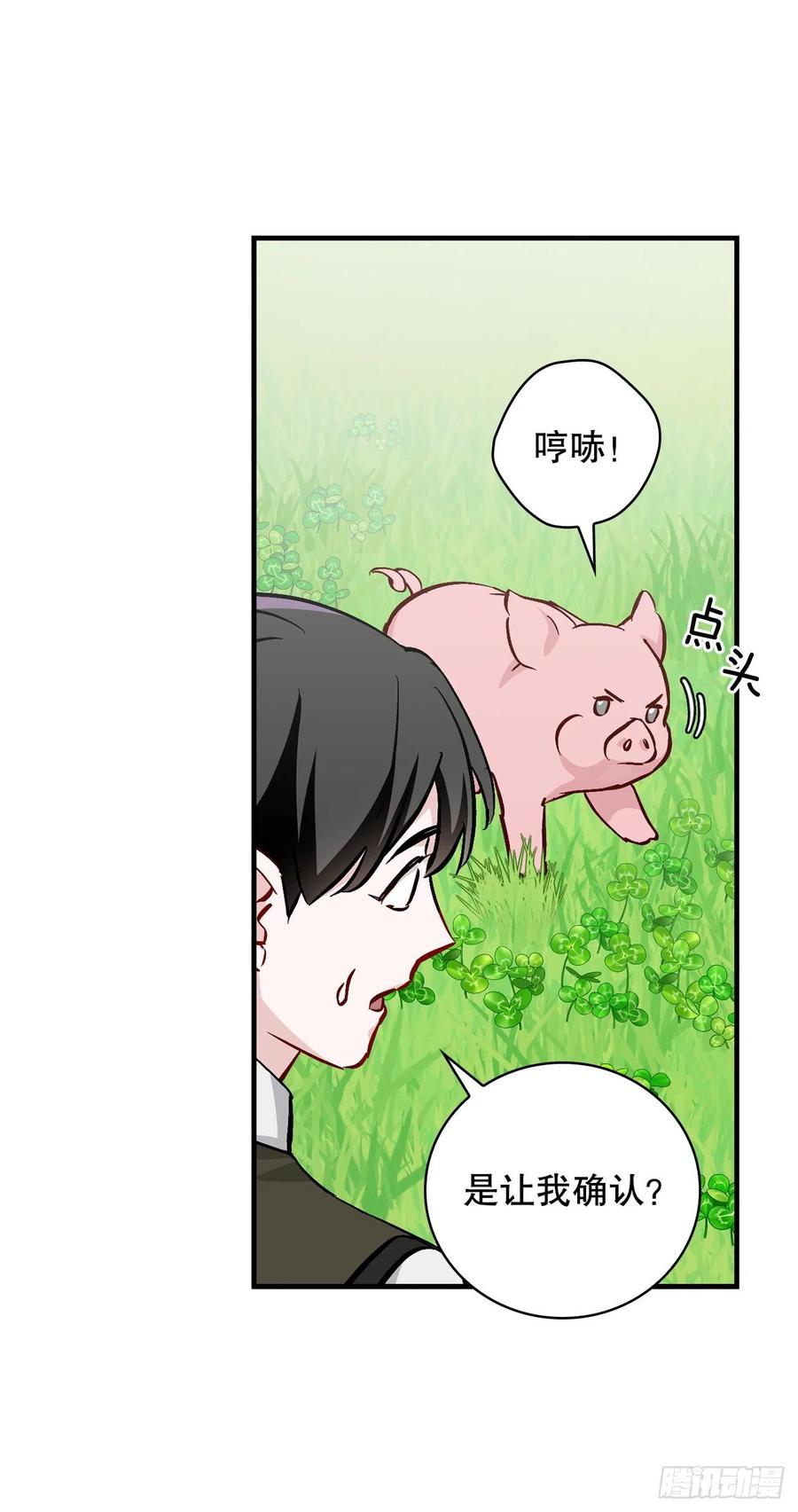 55.选择宠物56