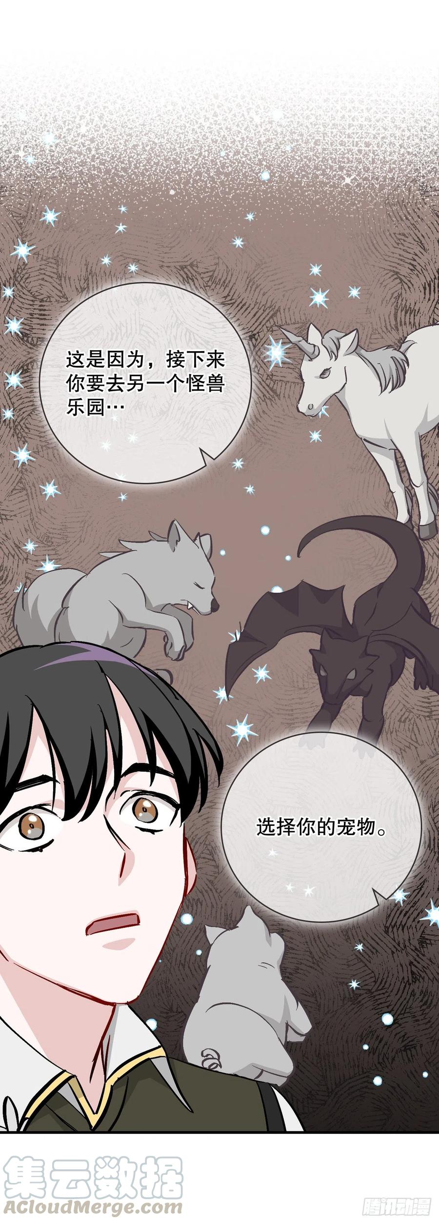55.选择宠物18