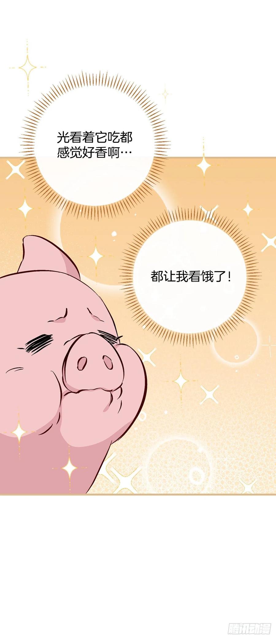 55.选择宠物43