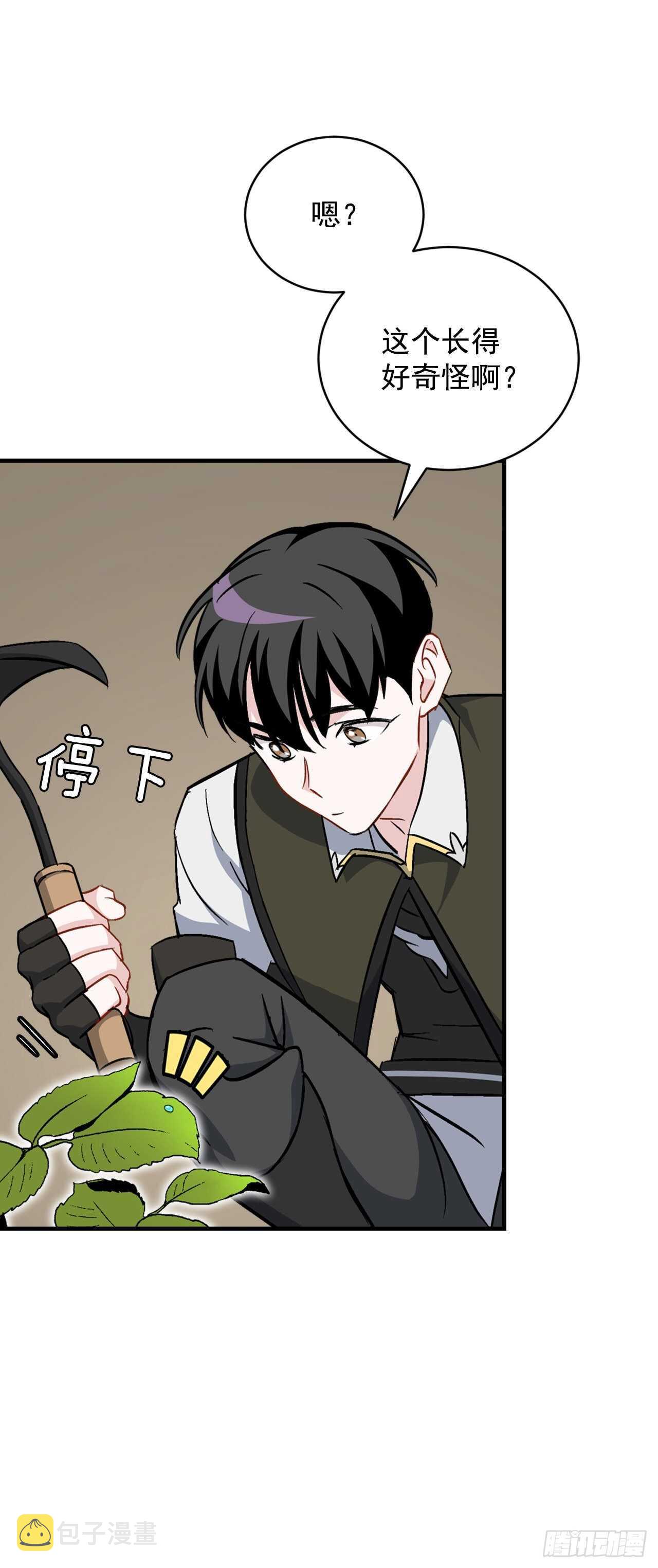 24.预选赛36