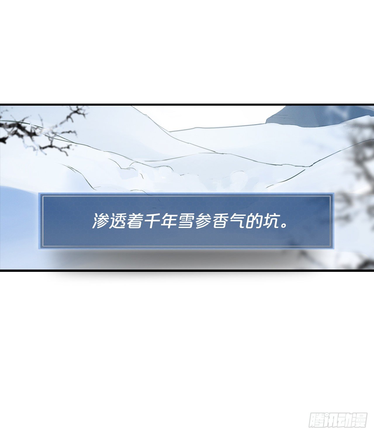 1.千年雪参7