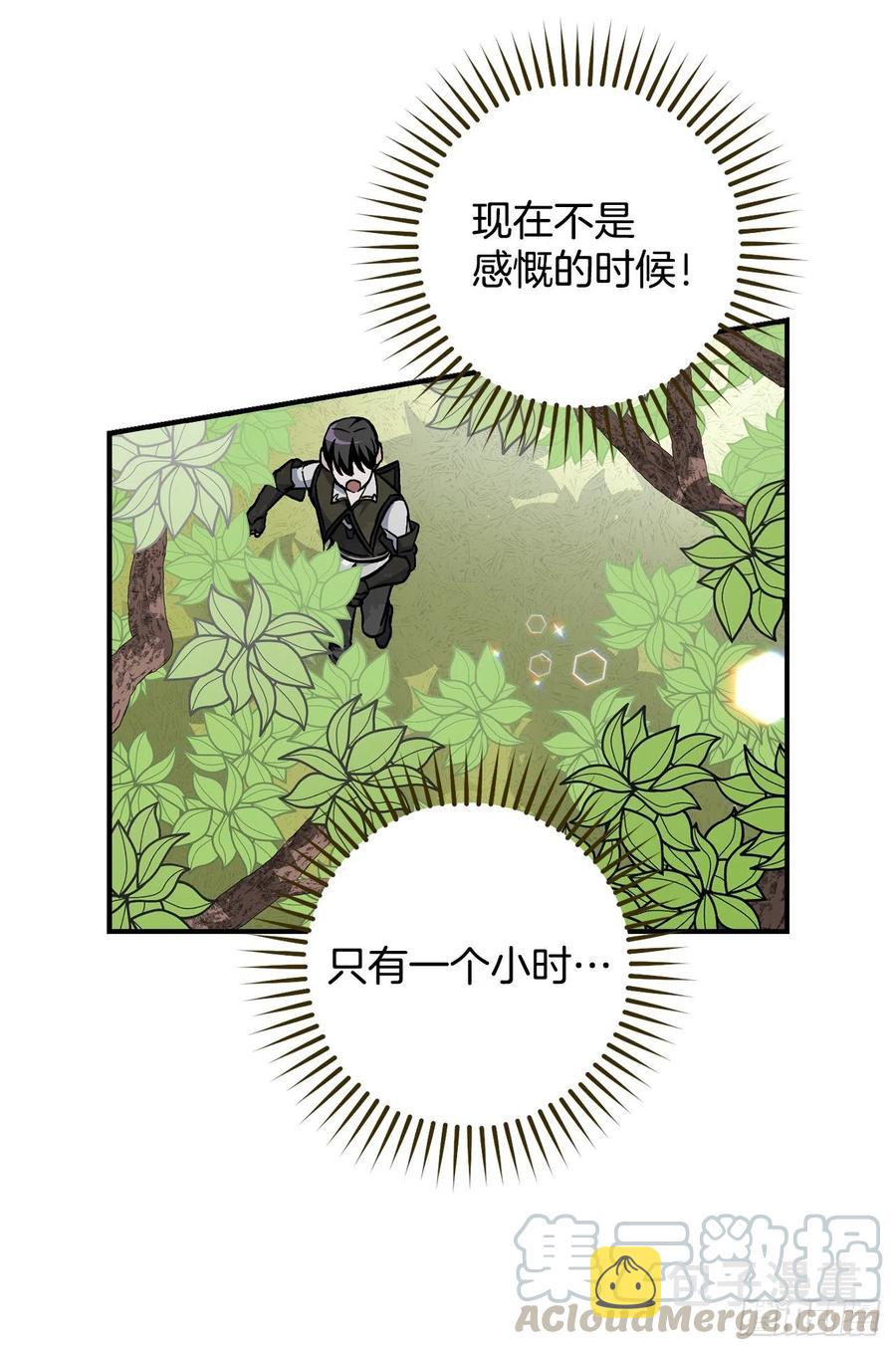 40.巧克力树69