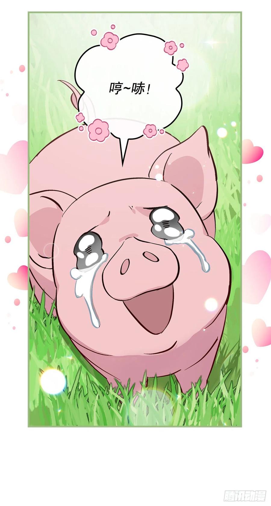 55.选择宠物68