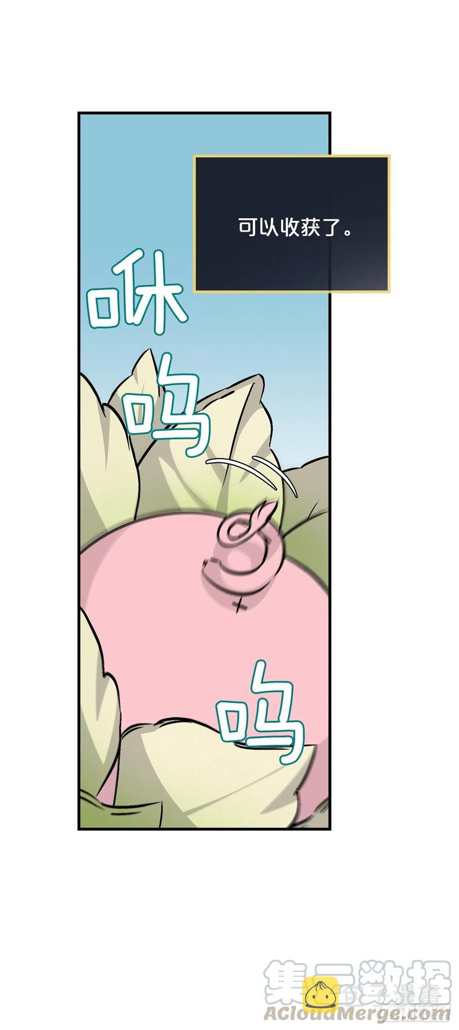 52.不知名的种子42