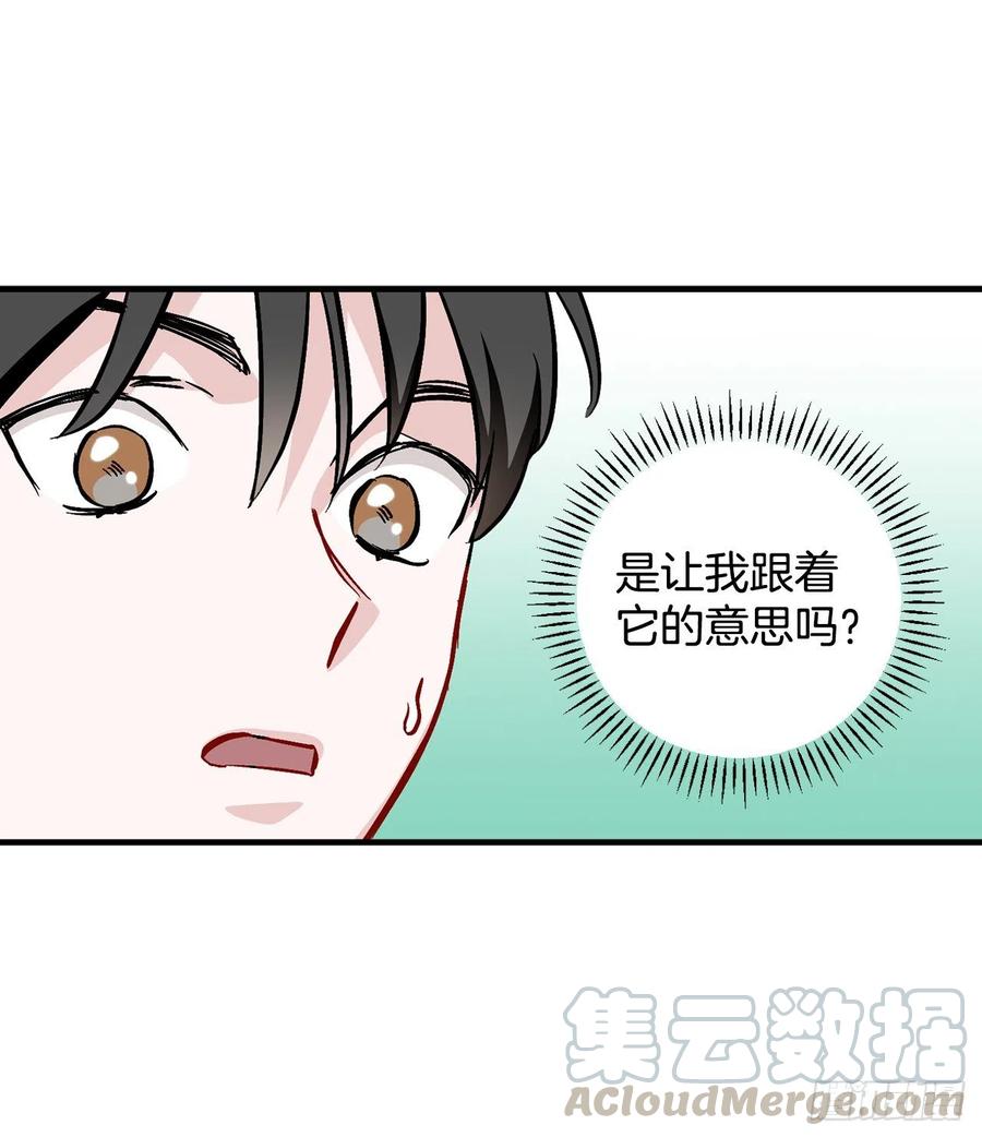 55.选择宠物54