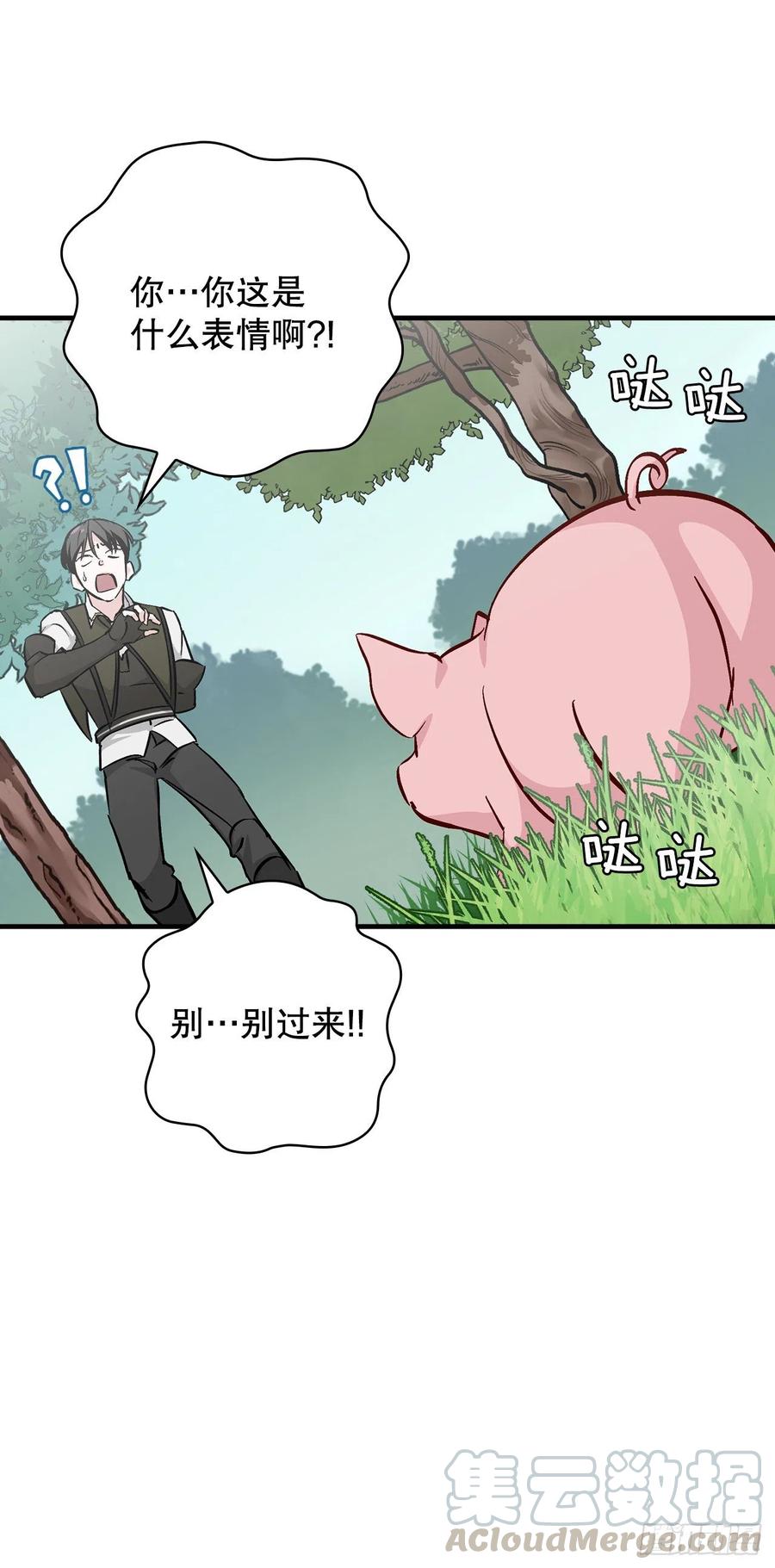 55.选择宠物51